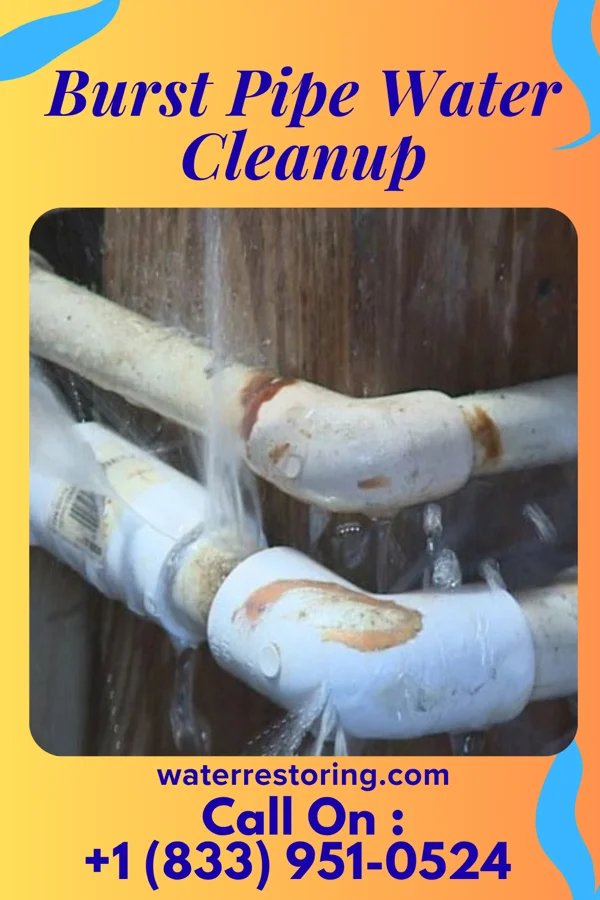 Burst Pipe Water Cleanup in Centertown, MO