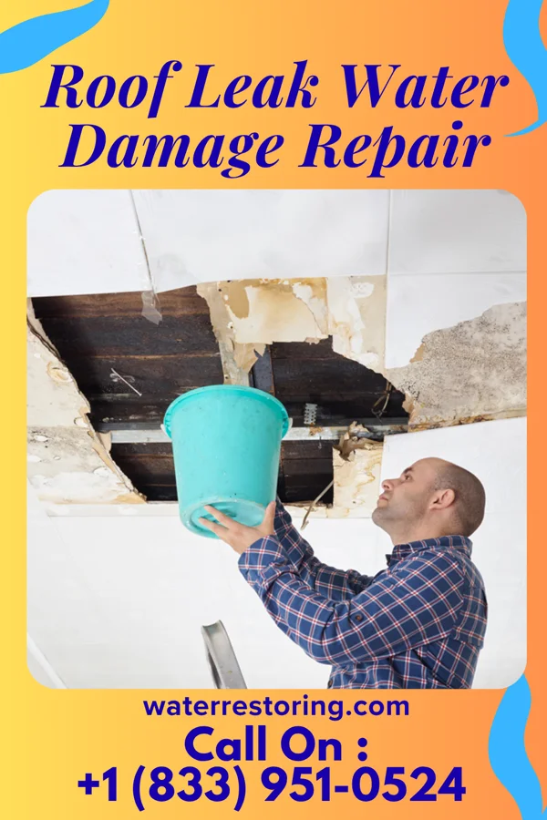 Roof Leak Water Damage Repair in Centertown, MO